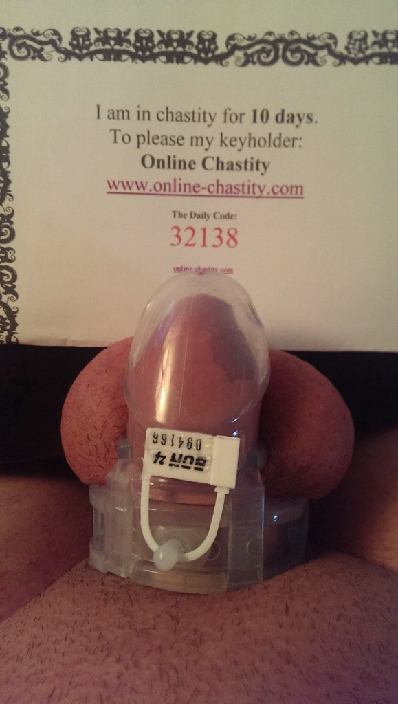 chastity slave
